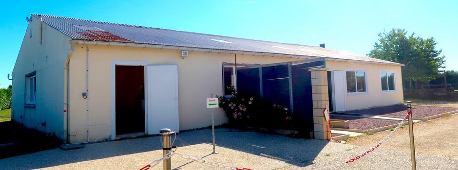 exterieur animalor cour.JPG